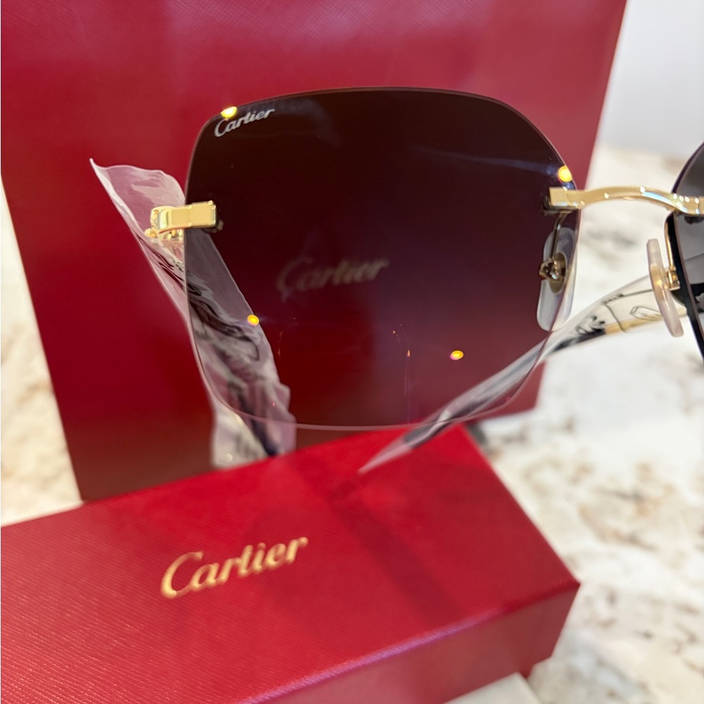 Cartier
Panthère Classic 24-Carat Gold 60MM
Square Sunglasses - Picture 8 of 16